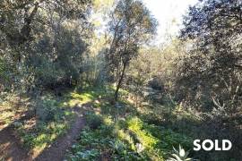 Cosy finca in a quiet location