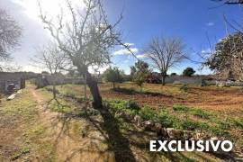 Casa de campo con potencial situada en zona tranquila