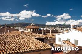 Ático-estudio de lujo renovado y con terraza espectacular en el corazón del casco antiguo