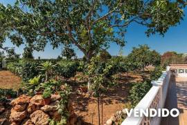 Casa de campo con viñas, plantación de olivos y precioso jardín en zona tranquila