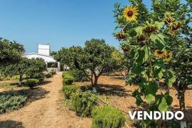 Casa de campo con viñas, plantación de olivos y precioso jardín en zona tranquila