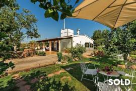 Quietly situated finca with vineyards, olive trees and beautiful fruit garden